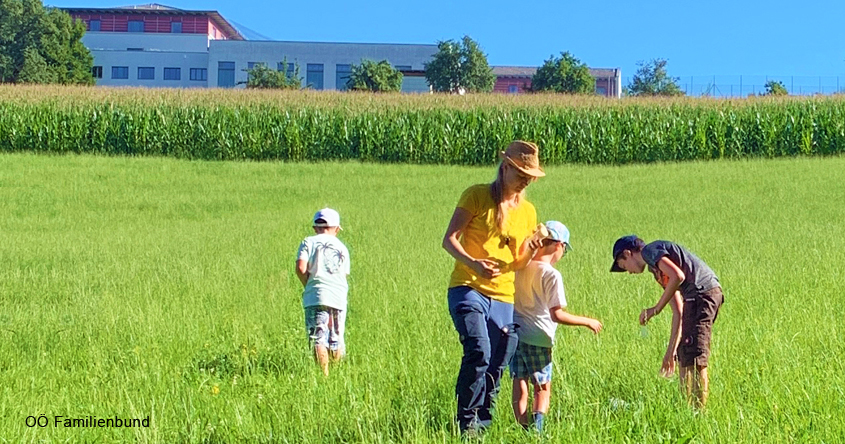 Kinder auf Wiese