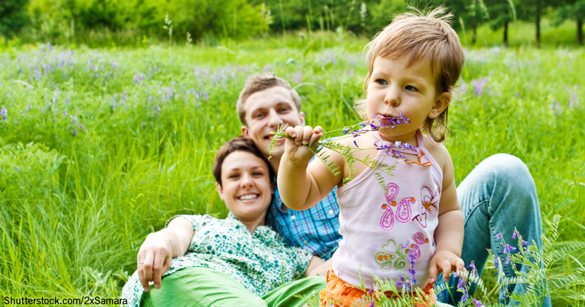 Familie Wiese