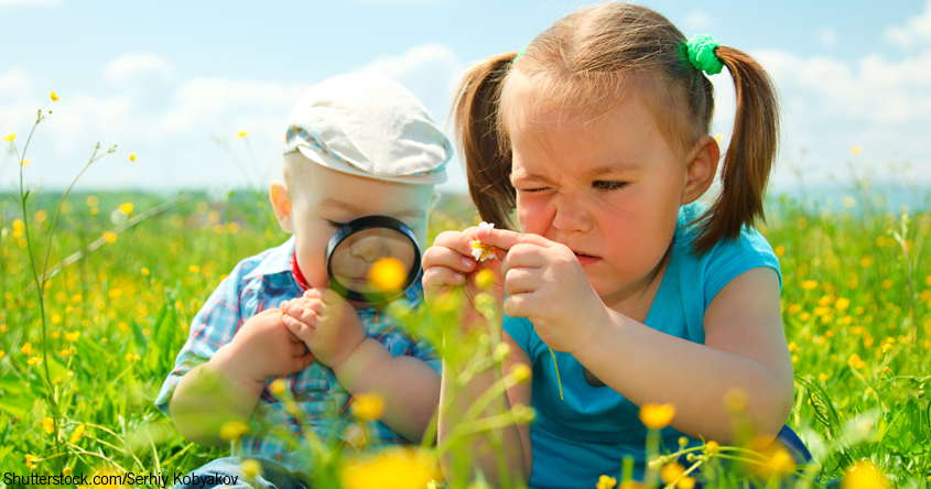 Kinder auf einer Wiese schauen durch eine Lupe