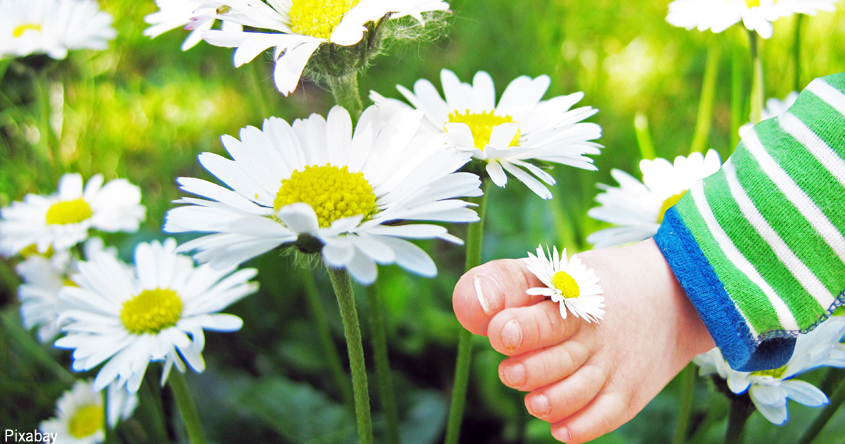 Kind Blumen Wiese