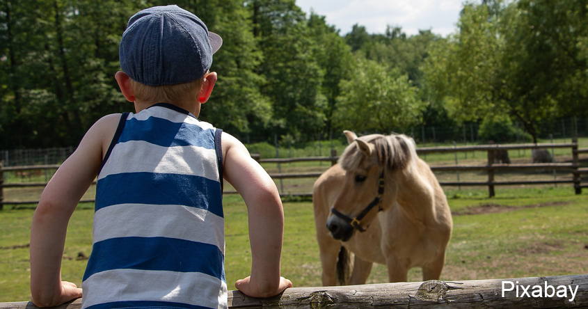 Reiten Kinder