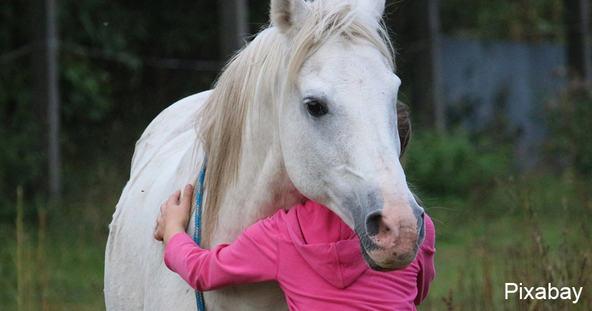 Reiten Kinder