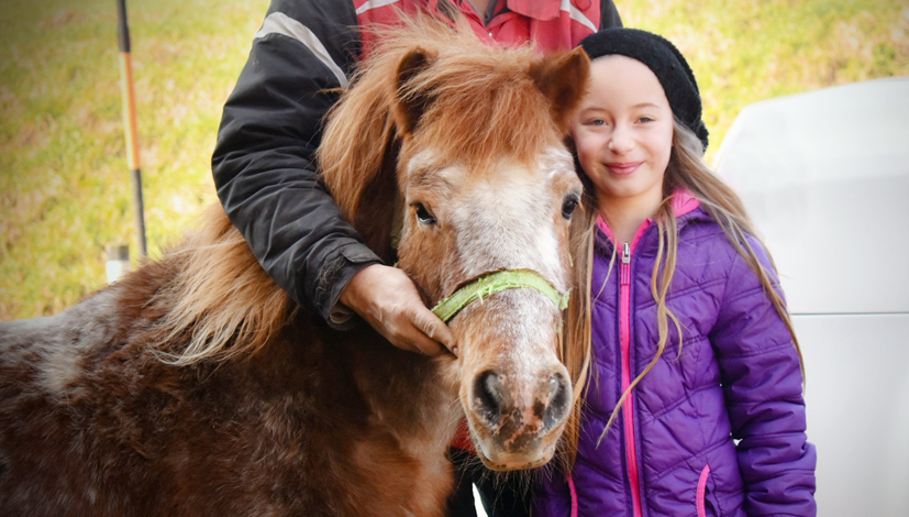 10€ Rabatt für Ponyreiten